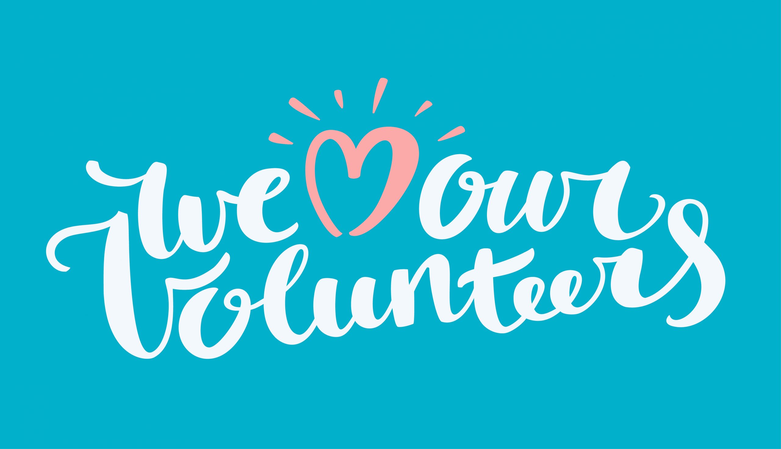 Volunteers: Find them; Train them; Love them; Keep Them!