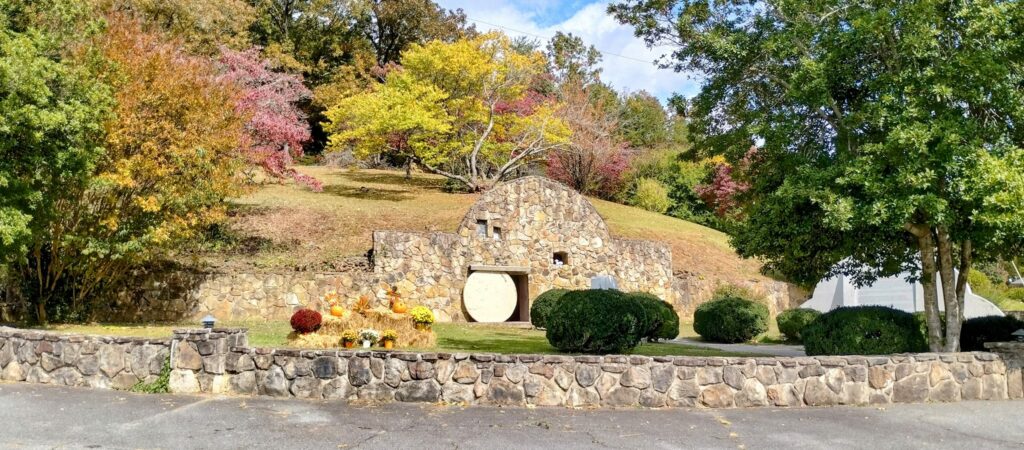 311687131_6193420530686383_4211106949492404650_n